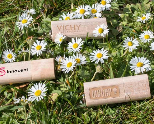 promovarea brandului